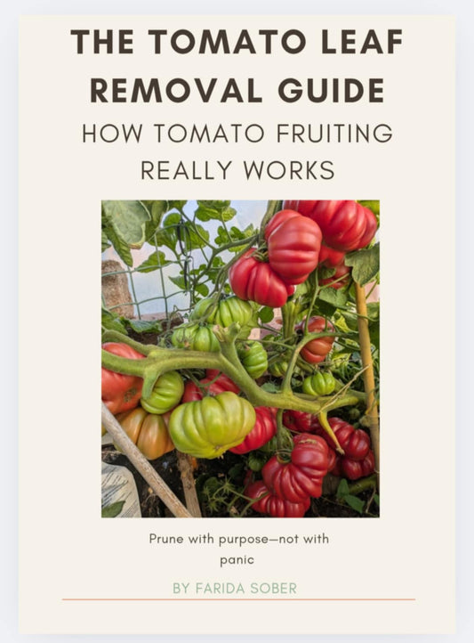 Tomato Leaf Pruning Guide